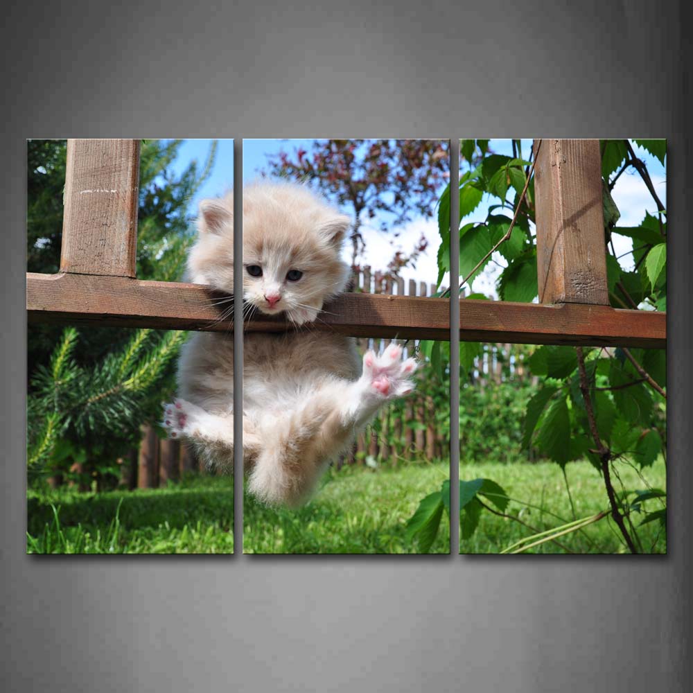 Cat Climb On Wood Fence Lawn Plant Wall Art Painting Pictures Print On Canvas Animal The Picture For Home Modern Decoration 