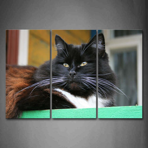 Big Cat Sit On Sill  Wall Art Painting Pictures Print On Canvas Animal The Picture For Home Modern Decoration 