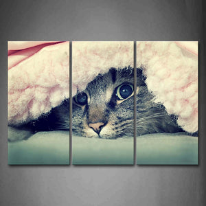 Cat Is Covered Blanket Only Expose Face Wall Art Painting Pictures Print On Canvas Animal The Picture For Home Modern Decoration 