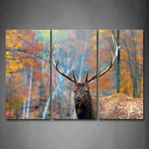 Elk In Forest Autumn  Wall Art Painting The Picture Print On Canvas Animal Pictures For Home Decor Decoration Gift 