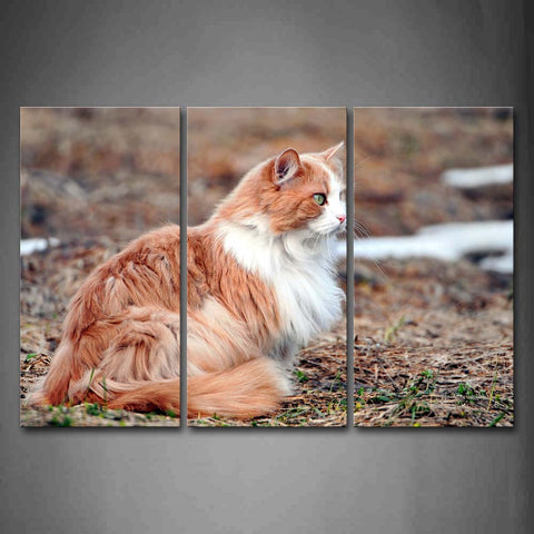 Cat Sit On Dry Grassland Wall Art Painting The Picture Print On Canvas Animal Pictures For Home Decor Decoration Gift 