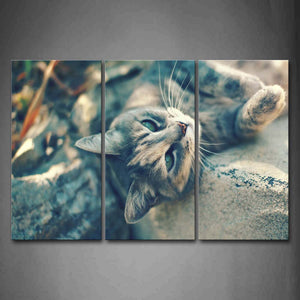 Gray Cat Lie Down On Stone Wall Art Painting Pictures Print On Canvas Animal The Picture For Home Modern Decoration 