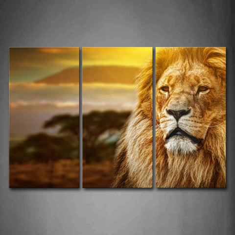 Brown Lion Head Tree Grassland At Dusk Wall Art Painting The Picture Print On Canvas Animal Pictures For Home Decor Decoration Gift 