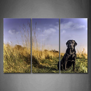 Black Dog Seat On Grass Blue Sky Wall Art Painting The Picture Print On Canvas Animal Pictures For Home Decor Decoration Gift 