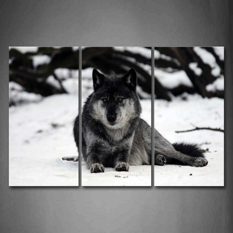 Wolf Sit On Snowfield Black Branch Wall Art Painting Pictures Print On Canvas Animal The Picture For Home Modern Decoration 