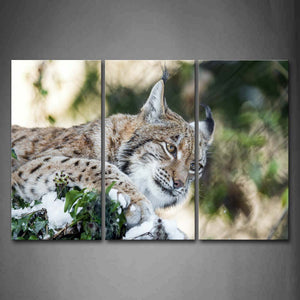 Lynx Bend Over Leafs Snow Wall Art Painting The Picture Print On Canvas Animal Pictures For Home Decor Decoration Gift 