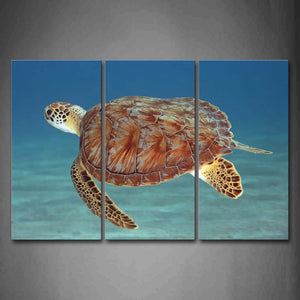 Turtle Swimming In Blue Sea Wall Art Painting Pictures Print On Canvas Animal The Picture For Home Modern Decoration 