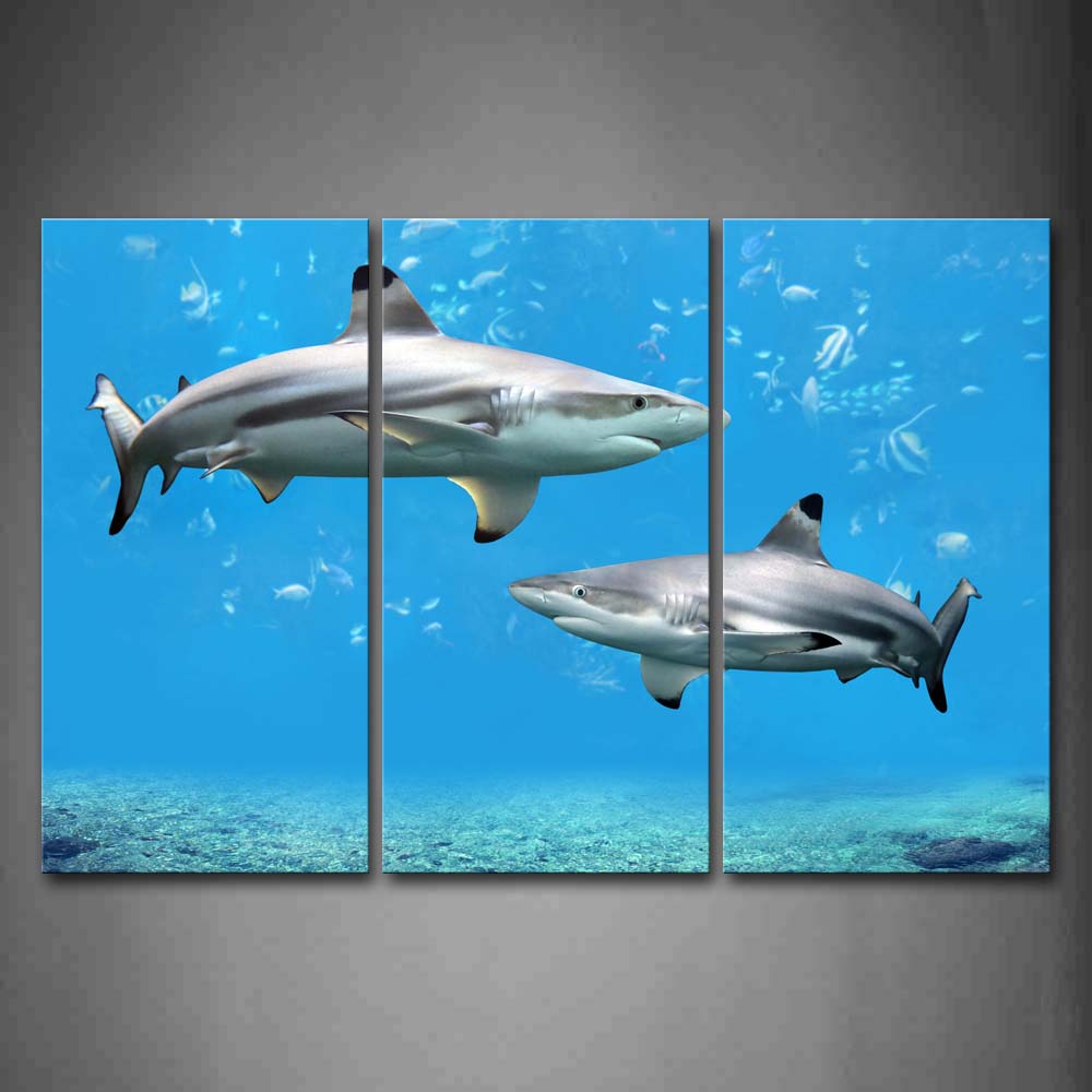 Two Sharks In Blue Sea Seabed Fishs Wall Art Painting The Picture Print On Canvas Animal Pictures For Home Decor Decoration Gift 