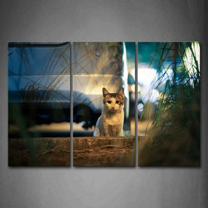 Cat Sit On Land In Front Of Car Grass Wall Art Painting Pictures Print On Canvas Animal The Picture For Home Modern Decoration 