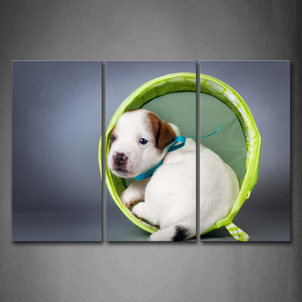 White Dog In Green Circle Wall Art Painting Pictures Print On Canvas Animal The Picture For Home Modern Decoration 