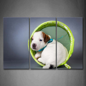 White Dog In Green Circle Wall Art Painting Pictures Print On Canvas Animal The Picture For Home Modern Decoration 