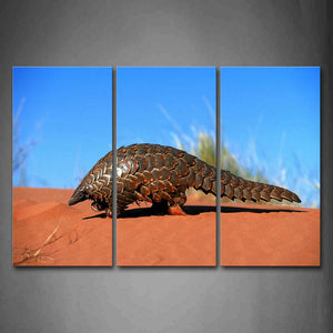 Brown Pangolin Crawl On Desert Grass Wall Art Painting The Picture Print On Canvas Animal Pictures For Home Decor Decoration Gift 