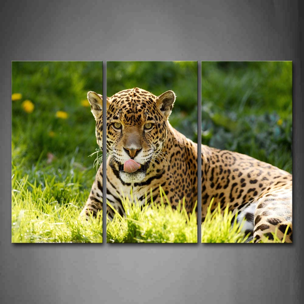 Jaguar Sit On Grass Yellow Flower Wall Art Painting Pictures Print On Canvas Animal The Picture For Home Modern Decoration 