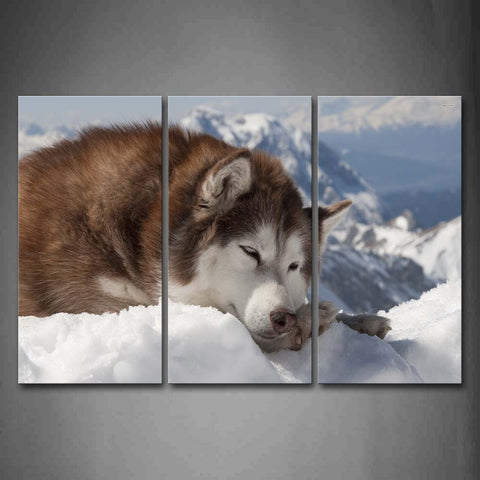 Alaskan Malamute Lie On Snowfield Wall Art Painting Pictures Print On Canvas Animal The Picture For Home Modern Decoration 