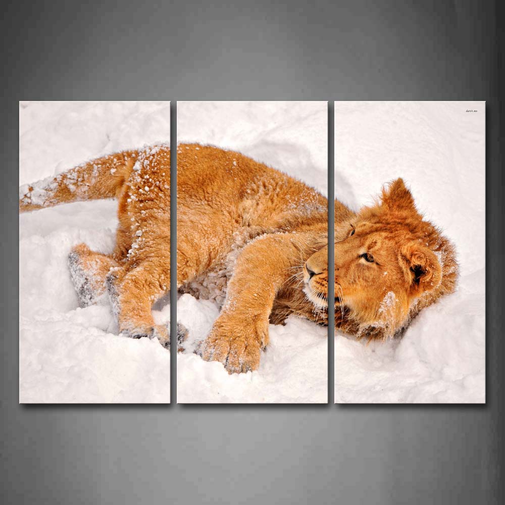 Yellow Lion Lie On Snowfield Wall Art Painting The Picture Print On Canvas Animal Pictures For Home Decor Decoration Gift 