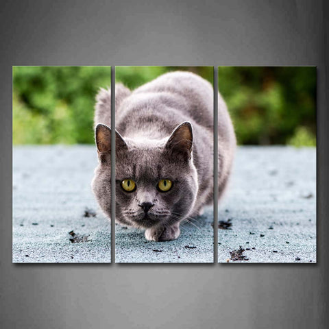 Gray Cat Crawl On Land  Wall Art Painting The Picture Print On Canvas Animal Pictures For Home Decor Decoration Gift 