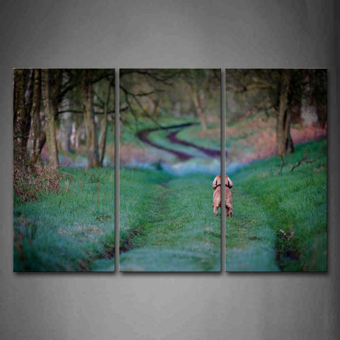 Yellow Dog Walk On Path Between Forest  Grass Wall Art Painting Pictures Print On Canvas Animal The Picture For Home Modern Decoration 