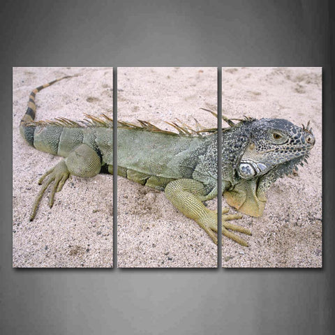 Iguana On Sand Land Wall Art Painting The Picture Print On Canvas Animal Pictures For Home Decor Decoration Gift 