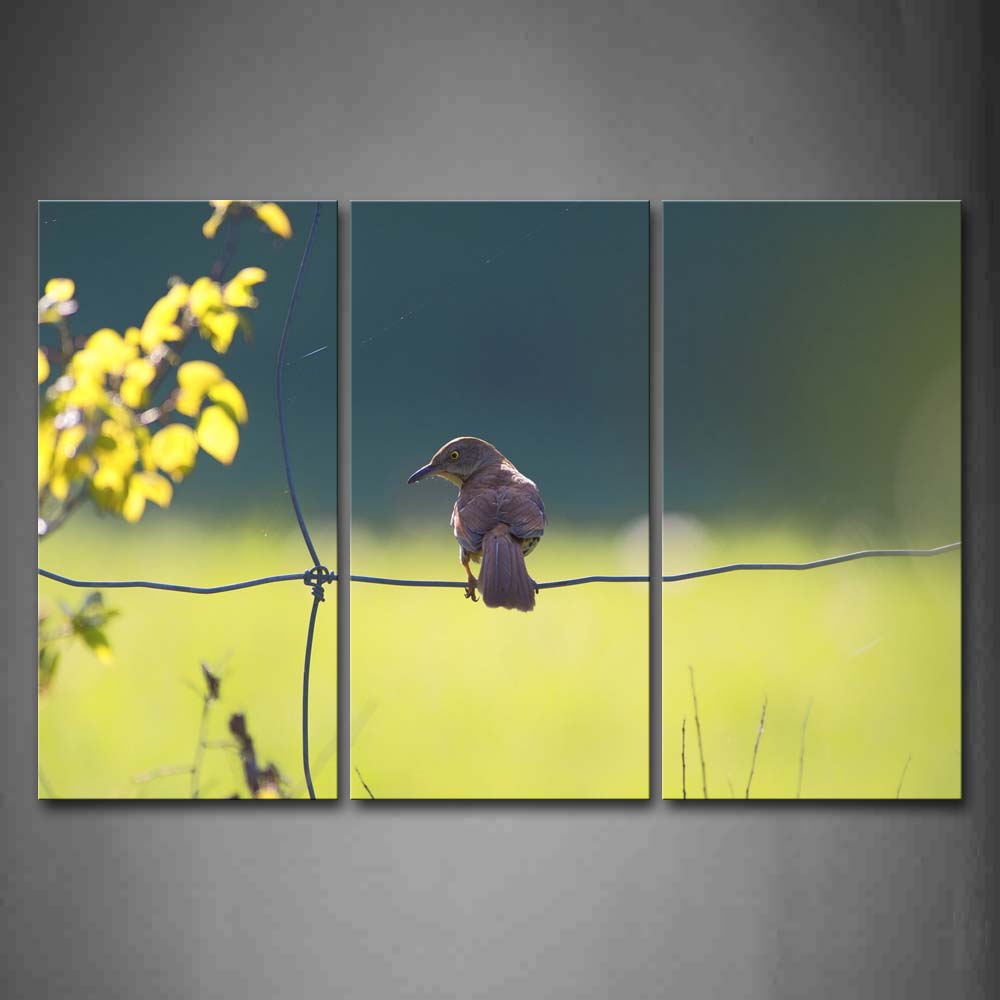 Bird Stop Wire Netting Leafs Wall Art Painting Pictures Print On Canvas Animal The Picture For Home Modern Decoration 