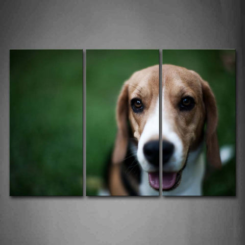 Beagle Sit On Grass Portrait Wall Art Painting The Picture Print On Canvas Animal Pictures For Home Decor Decoration Gift 