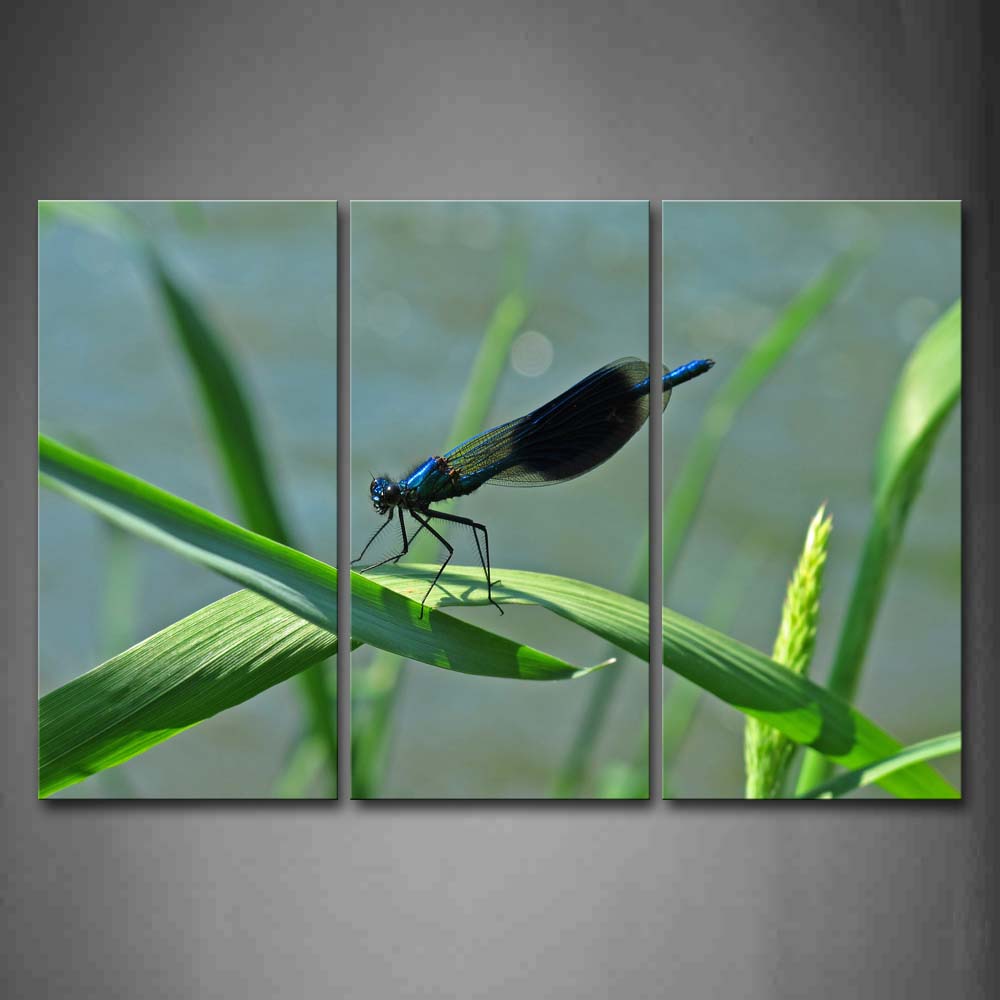 Dragonfly Stop On Green Leaf Wall Art Painting Pictures Print On Canvas Animal The Picture For Home Modern Decoration 