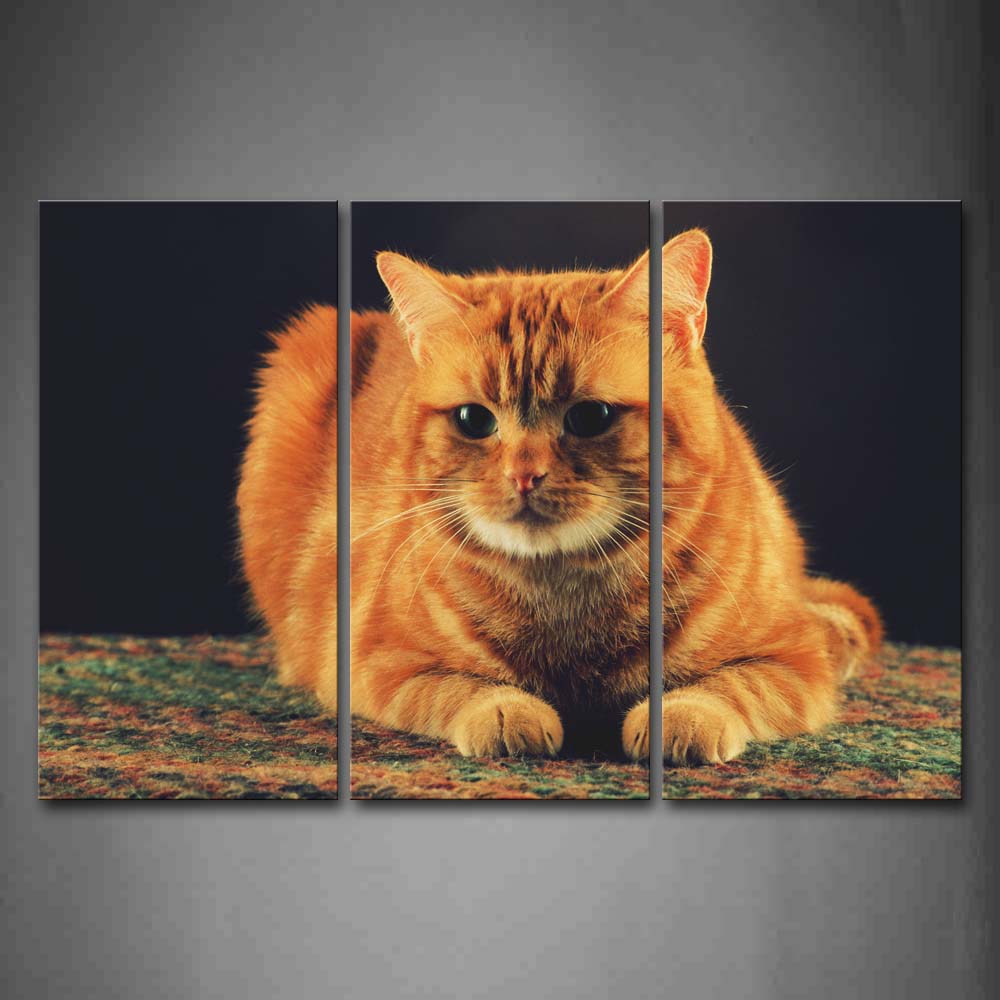 Orange Cat Sit On Blanket Wall Art Painting The Picture Print On Canvas Animal Pictures For Home Decor Decoration Gift 