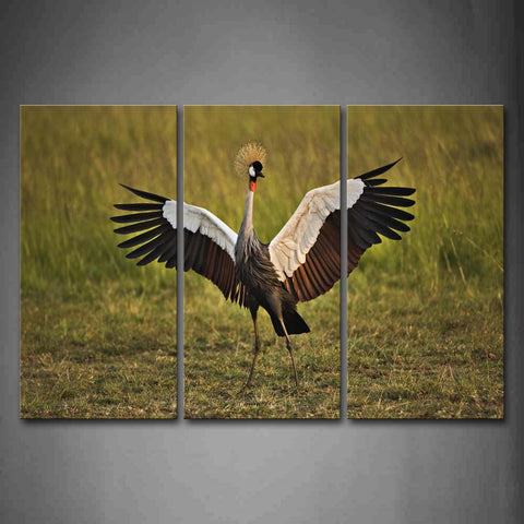 Beautiful Crane Open Feather On Grassland  Wall Art Painting Pictures Print On Canvas Animal The Picture For Home Modern Decoration 