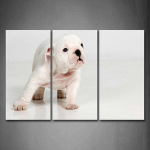 White Puppy Stand In White Background Wall Art Painting The Picture Print On Canvas Animal Pictures For Home Decor Decoration Gift 