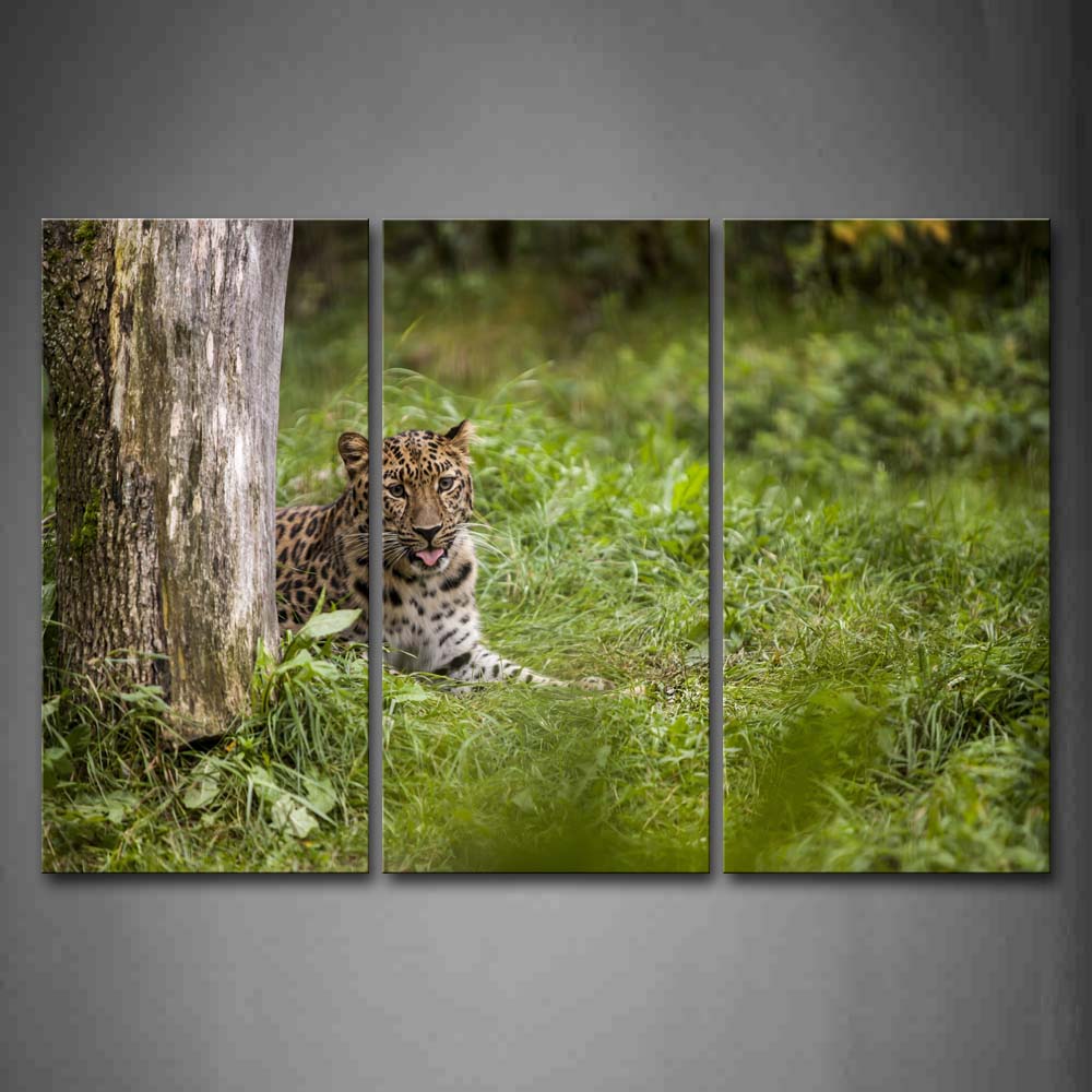 Leopard Sit On Grass Near Trunk Wall Art Painting The Picture Print On Canvas Animal Pictures For Home Decor Decoration Gift 