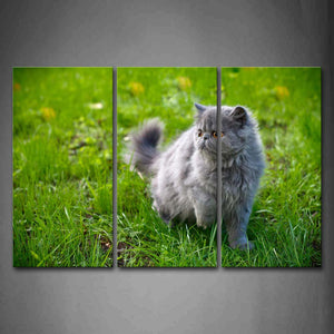 Gray Cat Walk On Grass Flower Wall Art Painting Pictures Print On Canvas Animal The Picture For Home Modern Decoration 