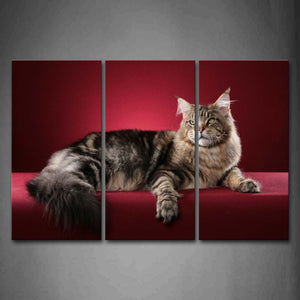 Red Big Cat Lie In Pink Background Wall Art Painting The Picture Print On Canvas Animal Pictures For Home Decor Decoration Gift 