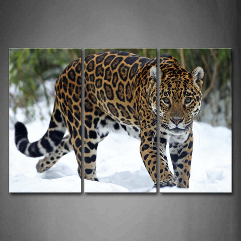 Leopard Walk On Snowfield Trees Wall Art Painting Pictures Print On Canvas Animal The Picture For Home Modern Decoration 