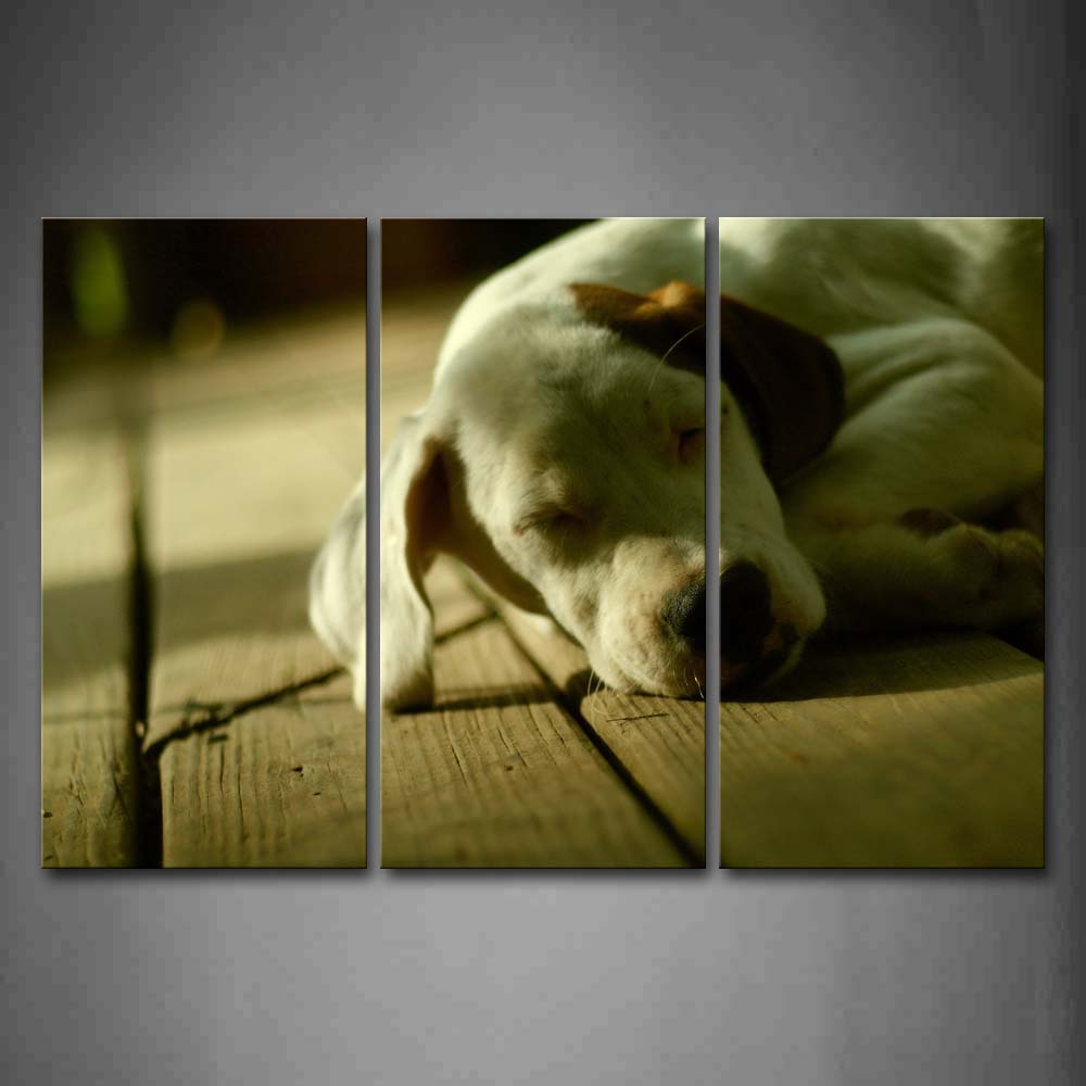 White Dog Sleep On Plank Wall Art Painting Pictures Print On Canvas Animal The Picture For Home Modern Decoration 