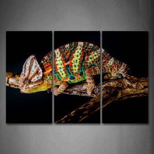 Colorful Chameleon Climb On Dry Branch Wall Art Painting Pictures Print On Canvas Animal The Picture For Home Modern Decoration 