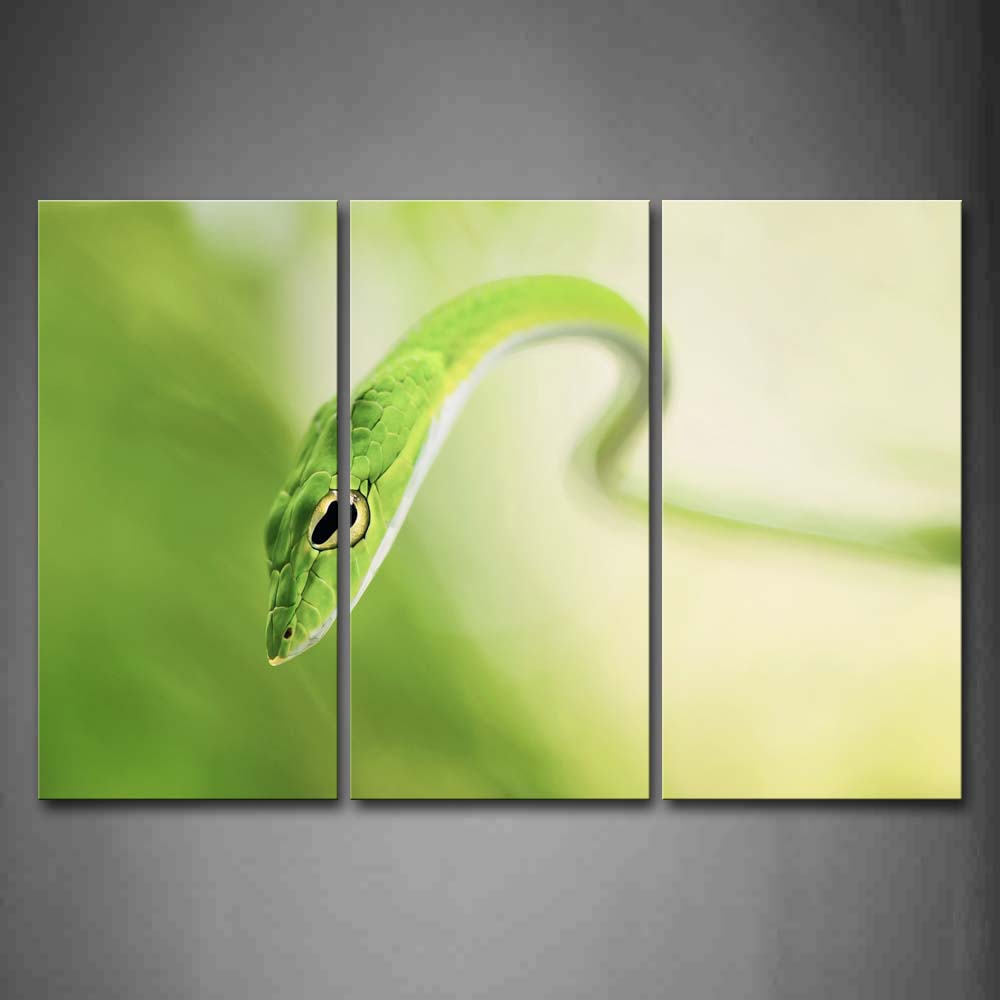 Grass Snake Portrait Wall Art Painting The Picture Print On Canvas Animal Pictures For Home Decor Decoration Gift 