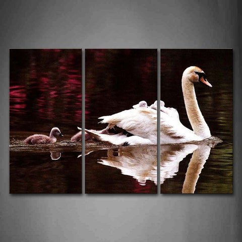 Mother Swan With Cubs Swim On Water Wall Art Painting Pictures Print On Canvas Animal The Picture For Home Modern Decoration 