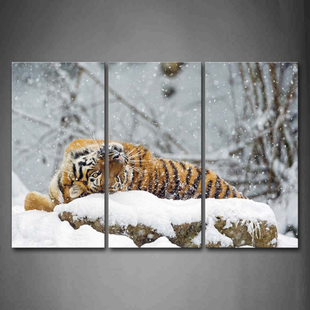 Tiger Lie On Snowfield Snowing  Wall Art Painting The Picture Print On Canvas Animal Pictures For Home Decor Decoration Gift 