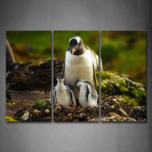 Mother Penguin With Cubs In Nest Moss Mud Wall Art Painting Pictures Print On Canvas Animal The Picture For Home Modern Decoration 