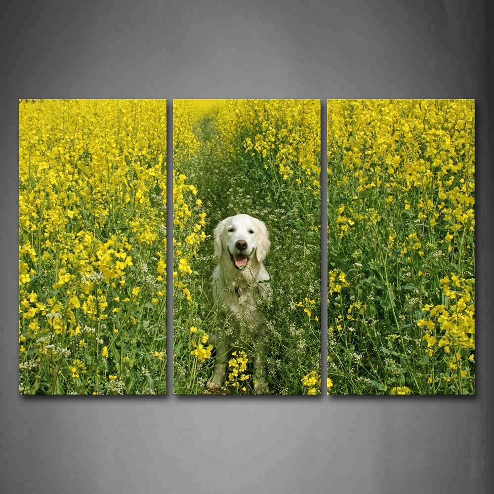 Dog Stand Between Yellow Flower Wall Art Painting The Picture Print On Canvas Animal Pictures For Home Decor Decoration Gift 