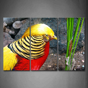 Golden Pheasant Near Green Plant Rock Wall Art Painting Pictures Print On Canvas Animal The Picture For Home Modern Decoration 