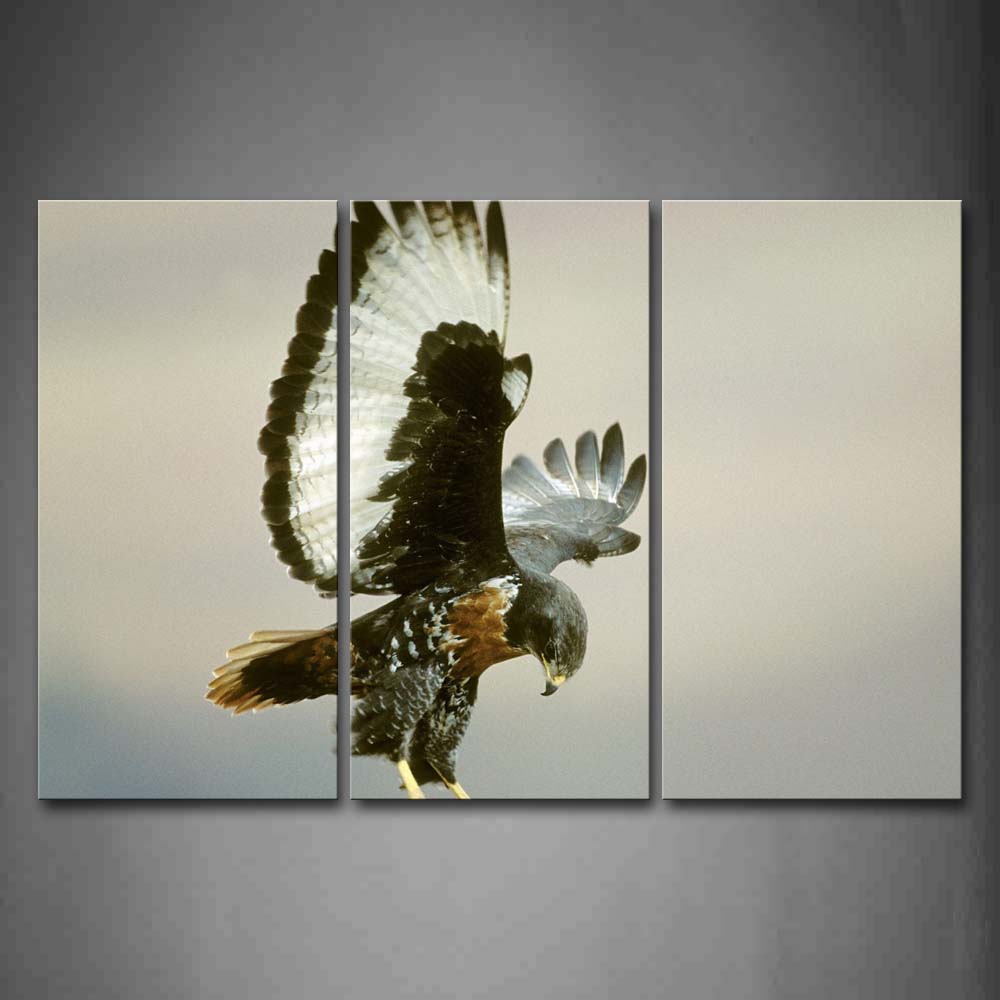 Eagle Flying Gray Sky Wall Art Painting Pictures Print On Canvas Animal The Picture For Home Modern Decoration 