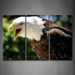 Bald Eagle Portrait Howl  Wall Art Painting The Picture Print On Canvas Animal Pictures For Home Decor Decoration Gift 