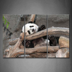 Panda Sit In Big Dry Branches Wall Art Painting Pictures Print On Canvas Animal The Picture For Home Modern Decoration 