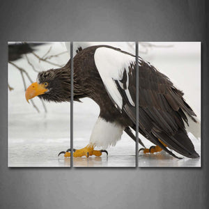 Eagle Walk On Ice  Wall Art Painting The Picture Print On Canvas Animal Pictures For Home Decor Decoration Gift 