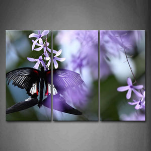 Butterfly Mate On Purple Near Flower Wall Art Painting The Picture Print On Canvas Animal Pictures For Home Decor Decoration Gift 