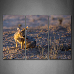 Fox Sit On Mud Land Dry Grass Wall Art Painting The Picture Print On Canvas Animal Pictures For Home Decor Decoration Gift 