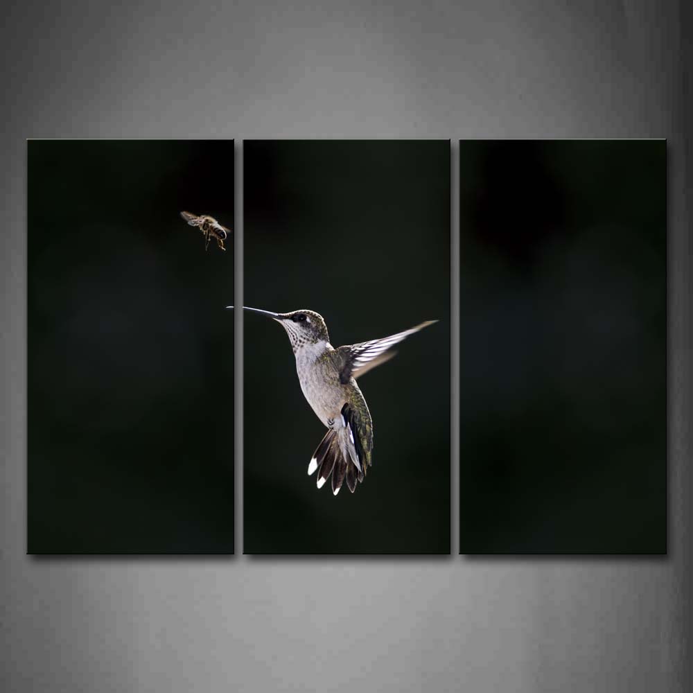 Black And White Hummingbird Flying To Grasp A Insect Wall Art Painting Pictures Print On Canvas Animal The Picture For Home Modern Decoration 