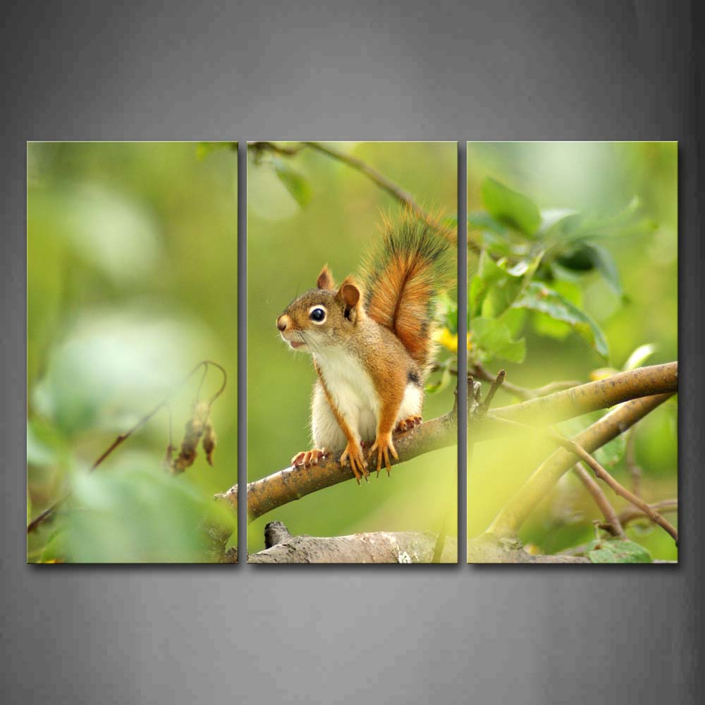 Squirrel Climb On Branch Wall Art Painting The Picture Print On Canvas Animal Pictures For Home Decor Decoration Gift 