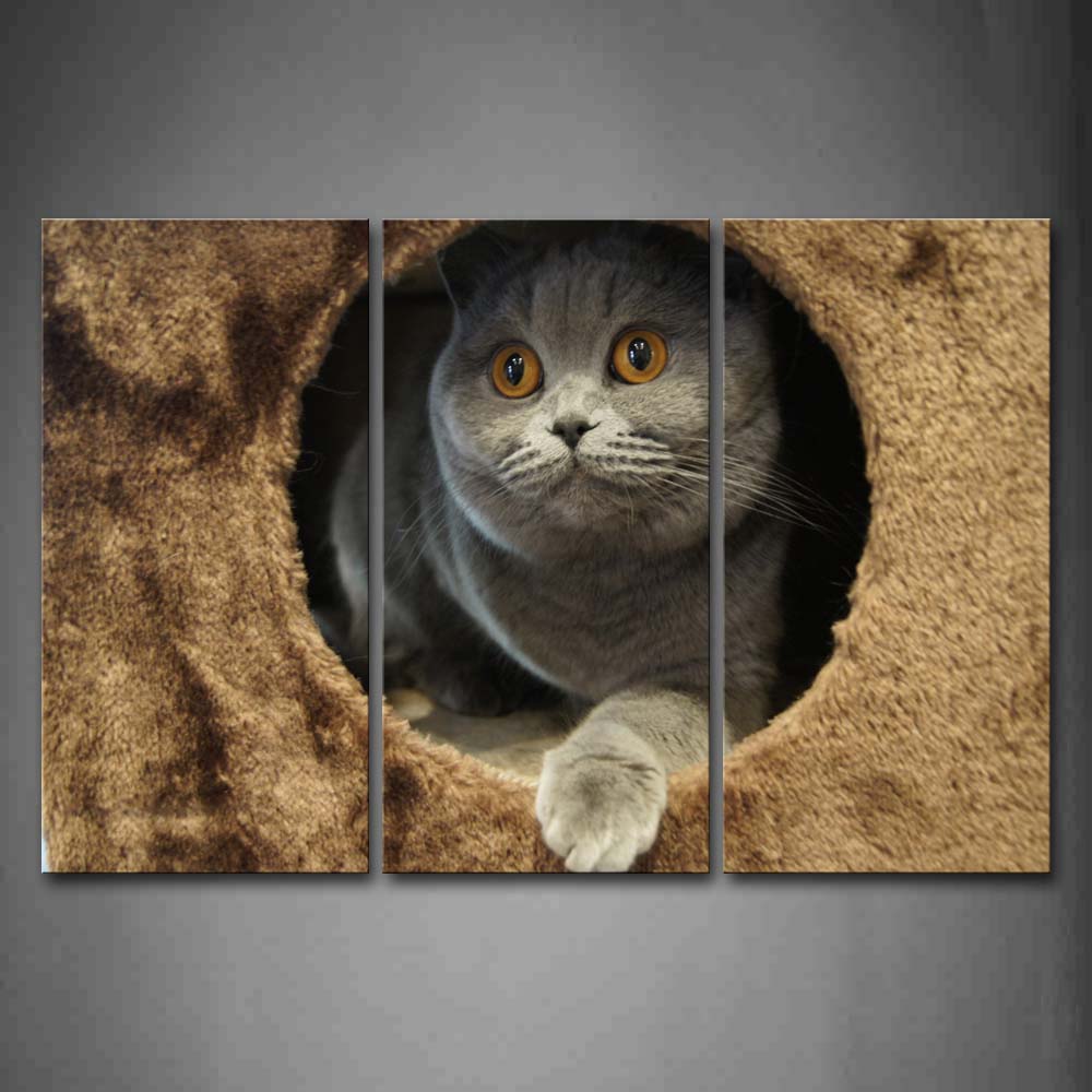 Cat In Circle Cave Wall Art Painting Pictures Print On Canvas Animal The Picture For Home Modern Decoration 