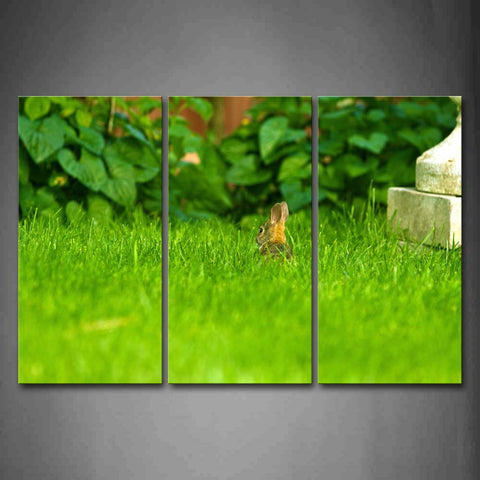 Rabbit In Green Grass Plant Wall Art Painting Pictures Print On Canvas Animal The Picture For Home Modern Decoration 